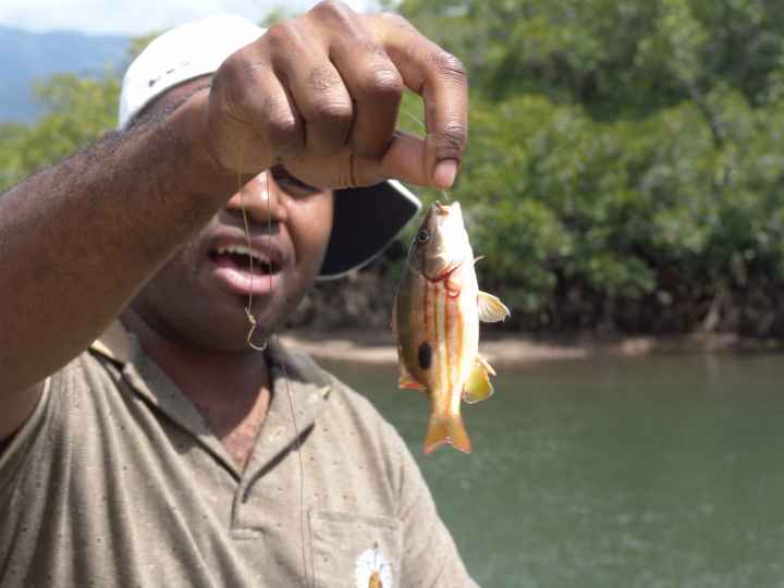 Djarragun