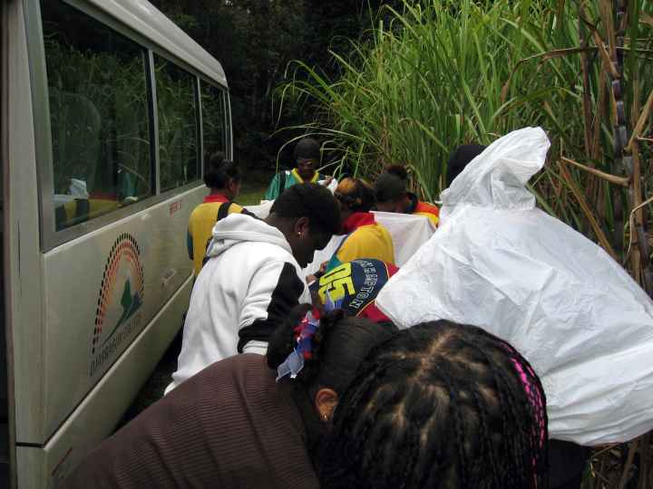 Djarragun