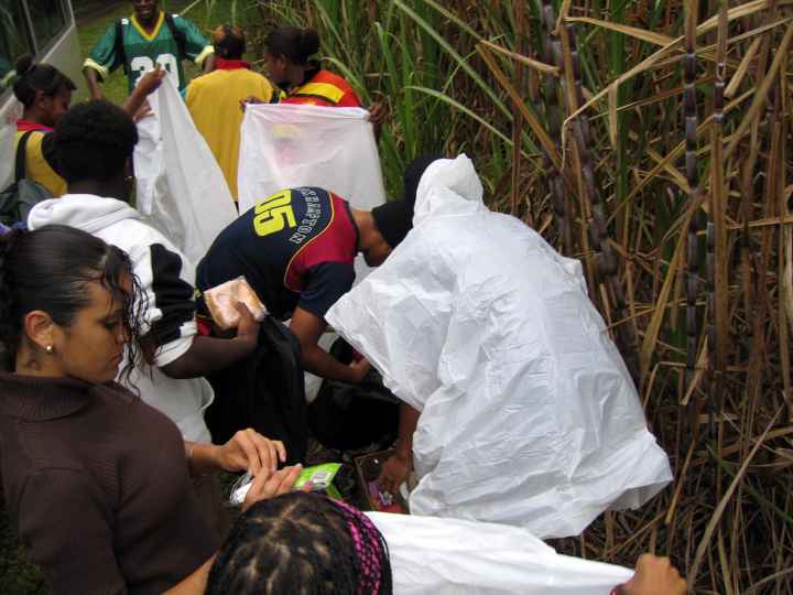 Djarragun