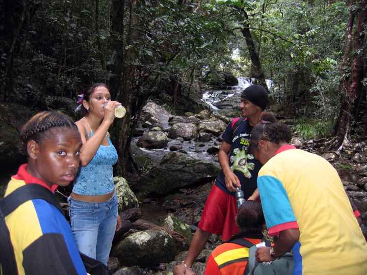 Djarragun