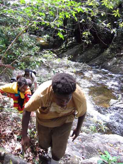 Djarragun