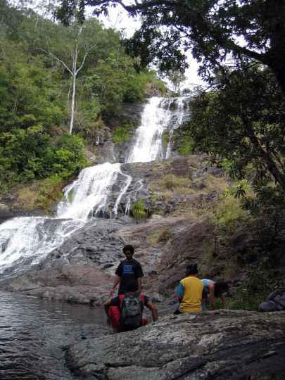 Djarragun