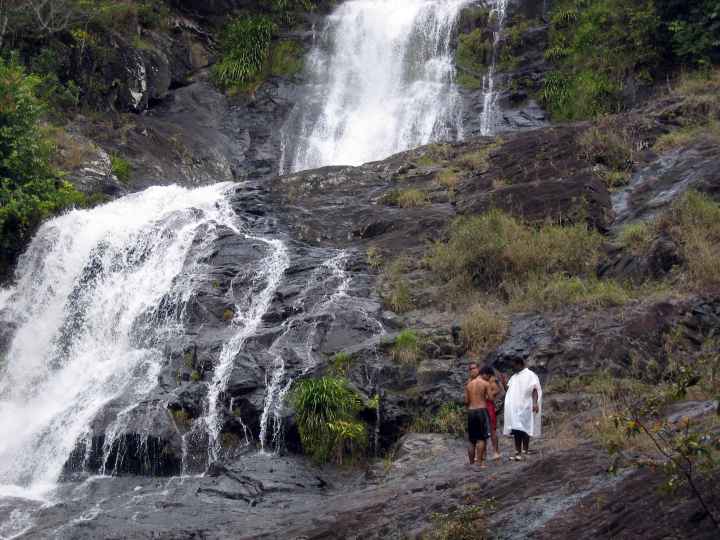 Djarragun