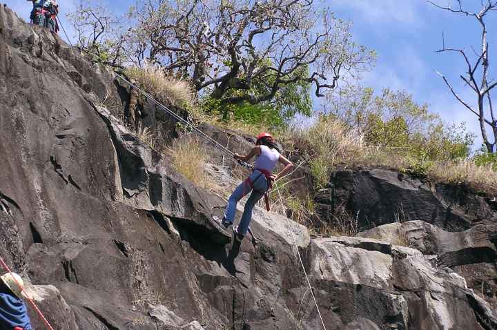 Djarragun