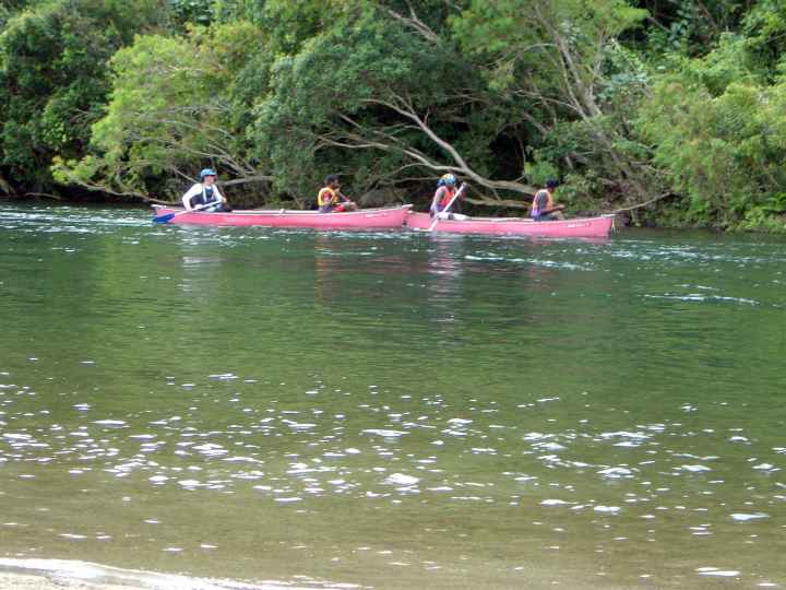 Djarragun