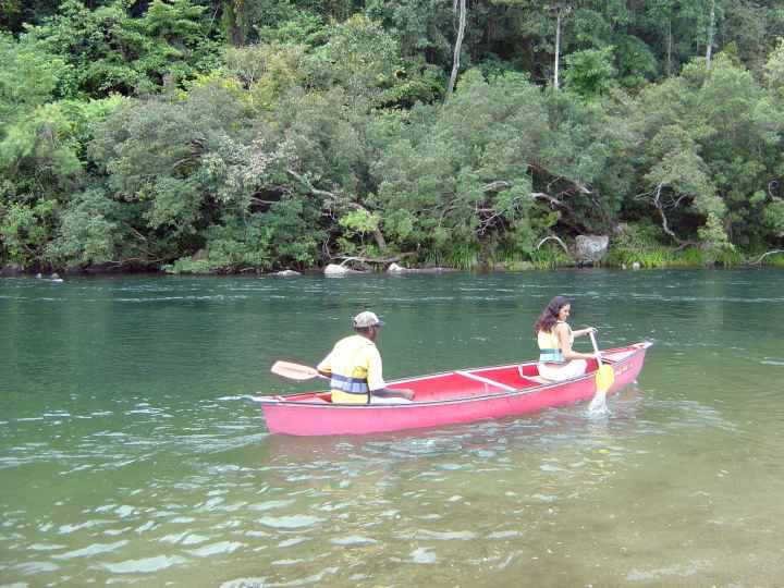 Djarragun