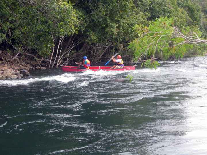 Djarragun