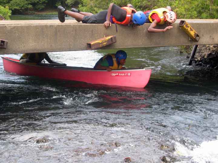 Djarragun