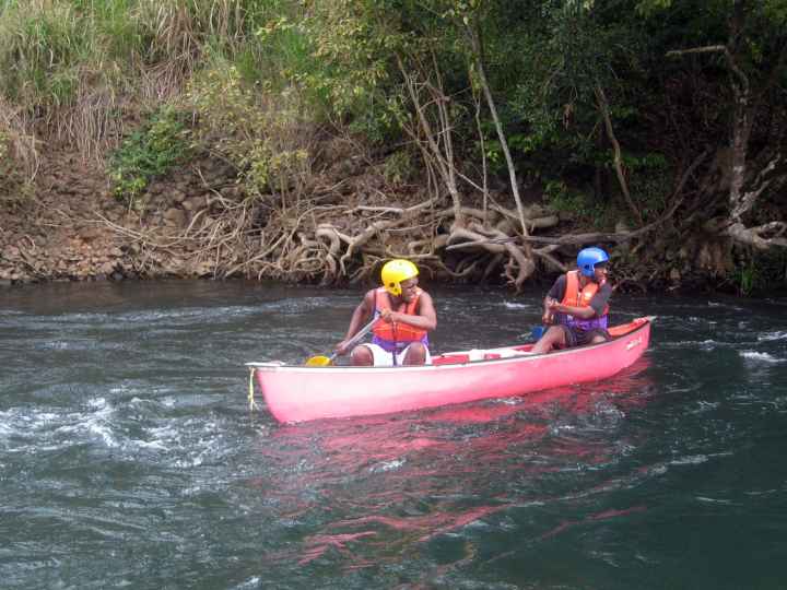 Djarragun