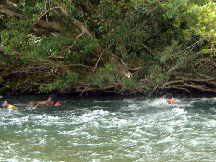 Djarragun