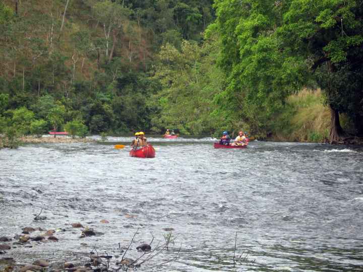 Djarragun