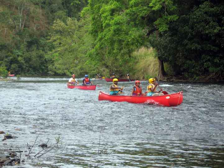 Djarragun