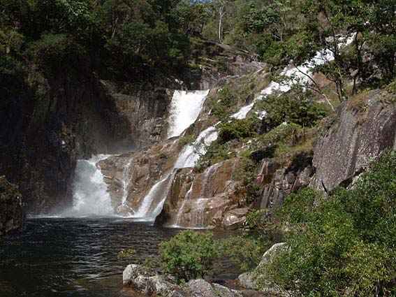 Djarragun