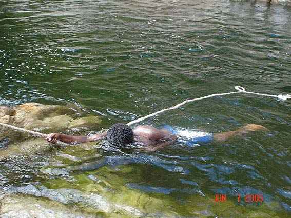 Djarragun