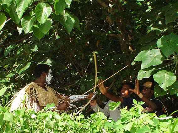 Djarragun