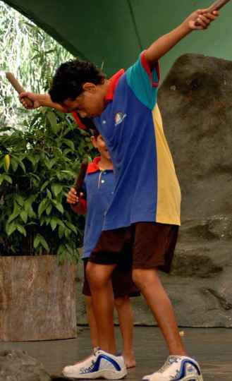 Djarragun