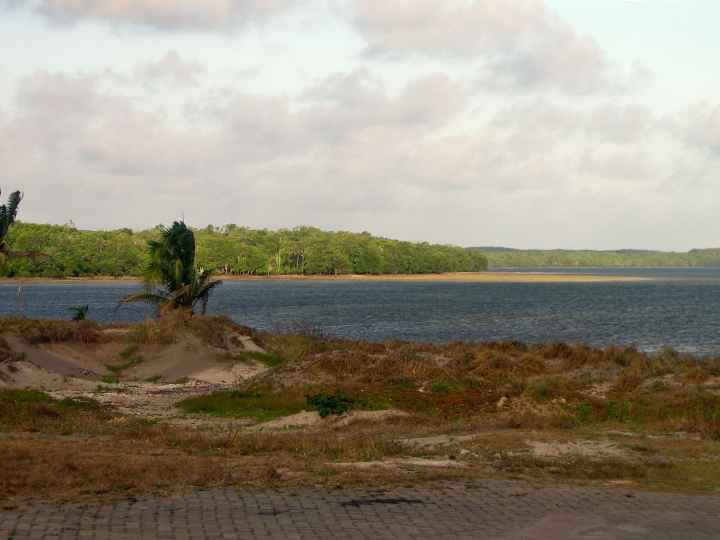 Djarragun
