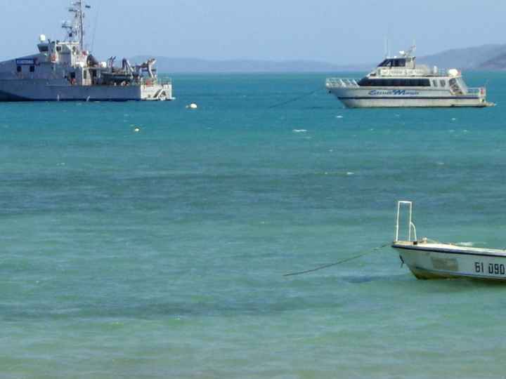 Djarragun