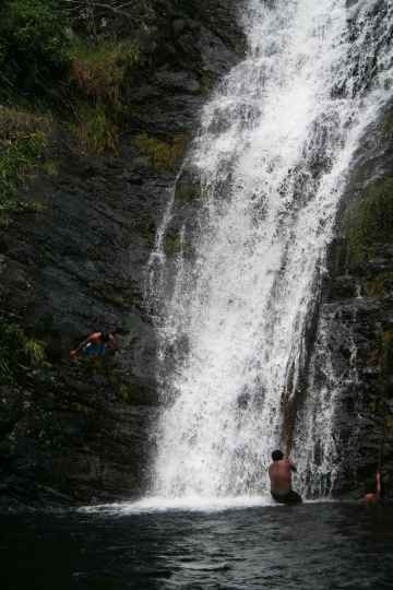 Djarragun