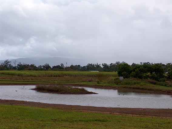 Djarragun