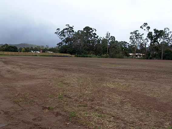 Djarragun