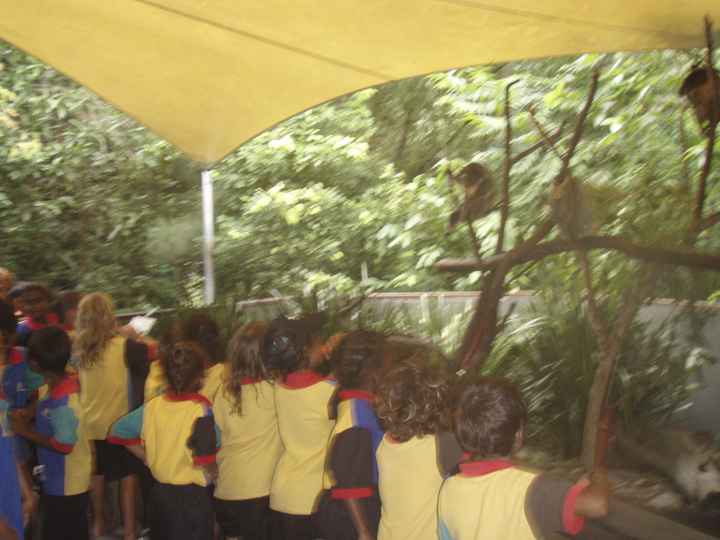 Djarragun