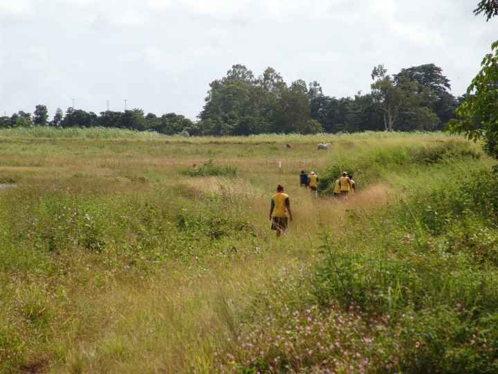 Djarragun