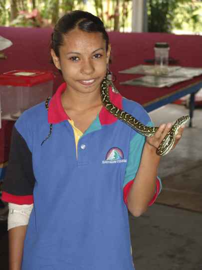 Djarragun