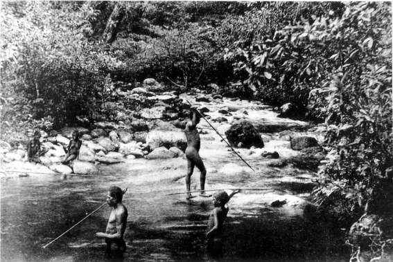 Djarragun