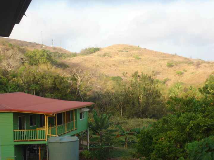 Djarragun