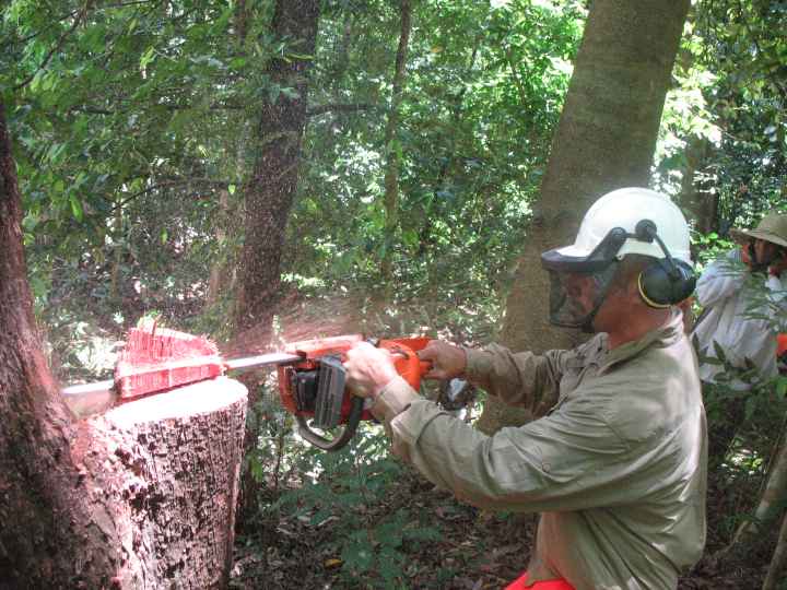 Djarragun