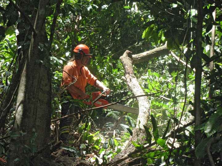 Djarragun
