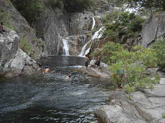 Djarragun