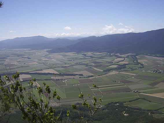 Djarragun