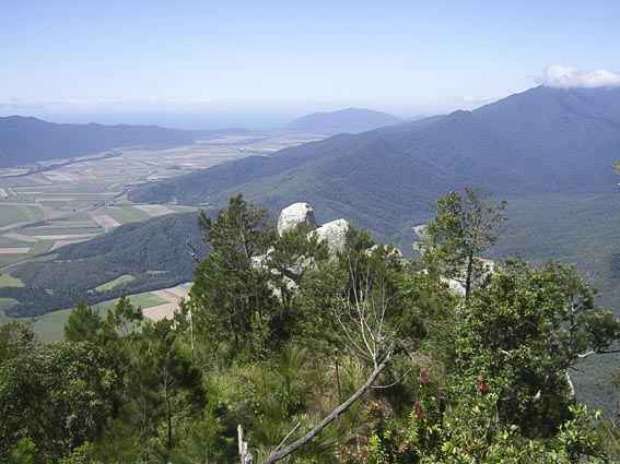 Djarragun