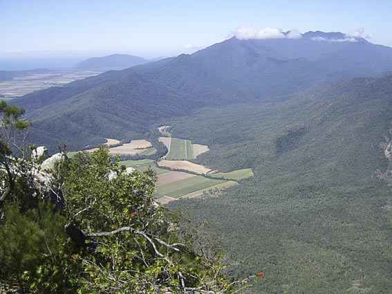 Djarragun