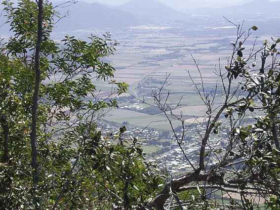 Djarragun