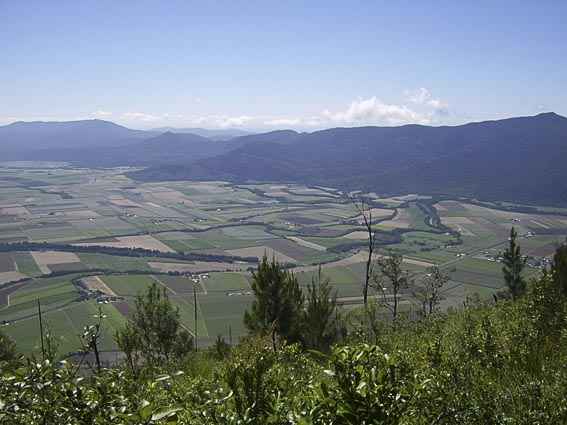 Djarragun