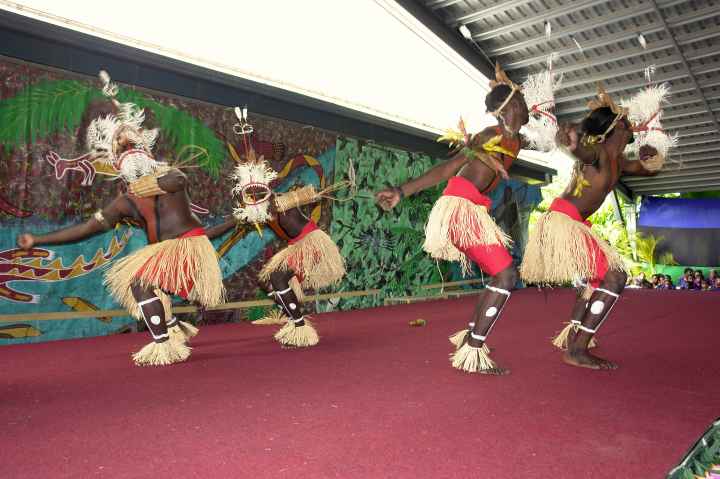Djarragun