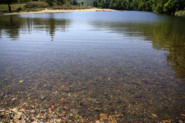 Djarragun