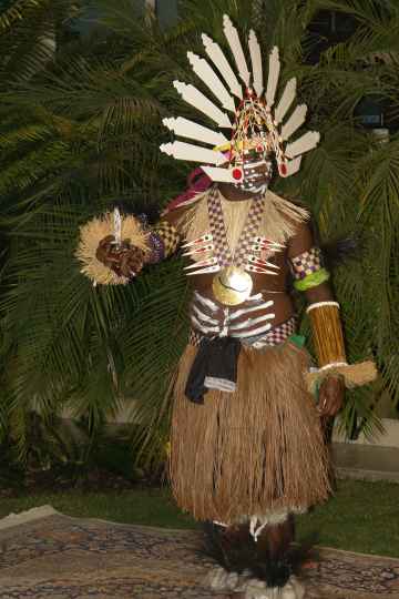 Djarragun