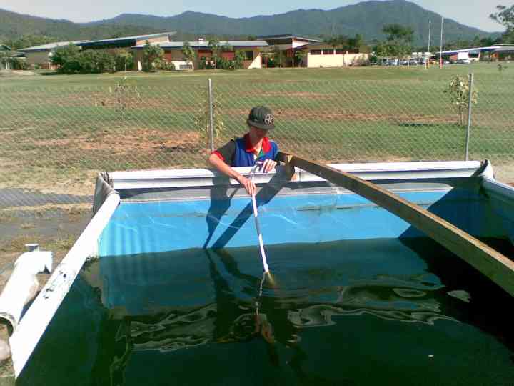 Djarragun