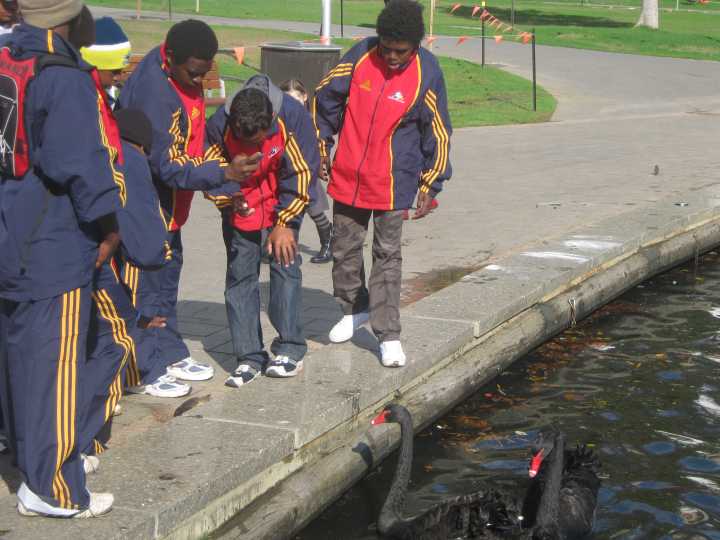 Djarragun