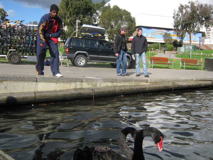 Djarragun