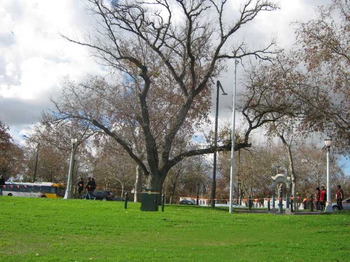 Djarragun