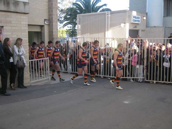 Djarragun