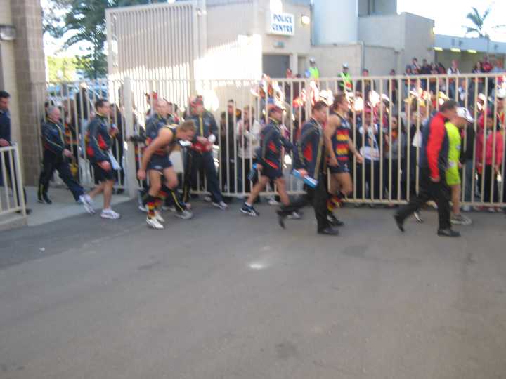 Djarragun