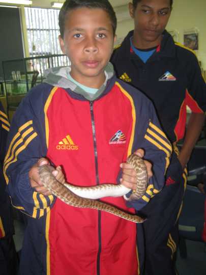 Djarragun