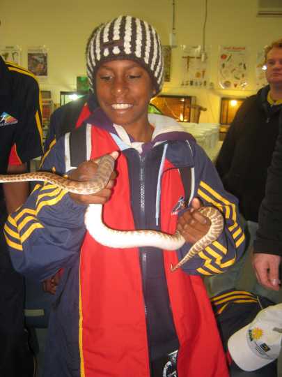 Djarragun