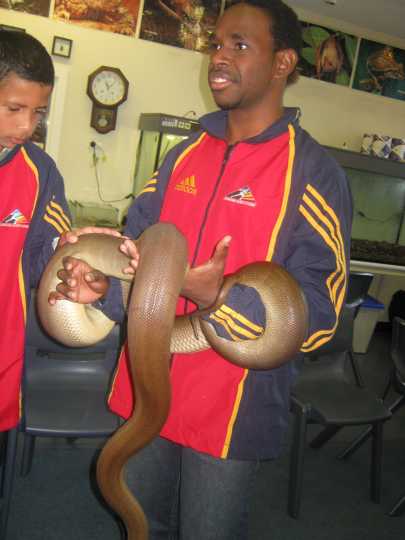 Djarragun